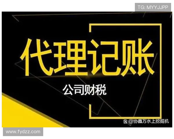 挖掘机机主财务报表记账软件